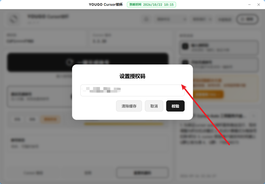 步骤 2：输入卡密并校验